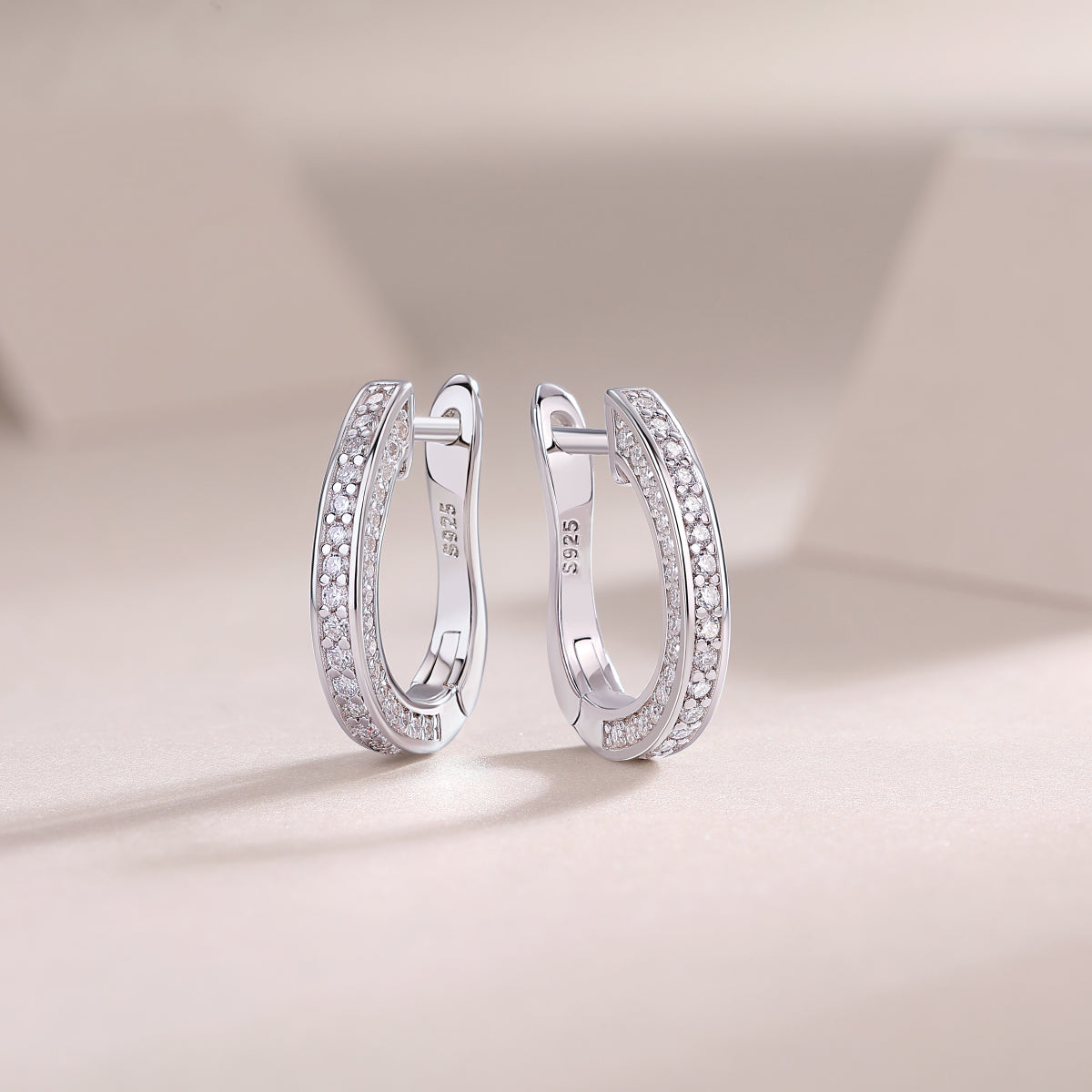 ELNA Highlight Silver Earrings
